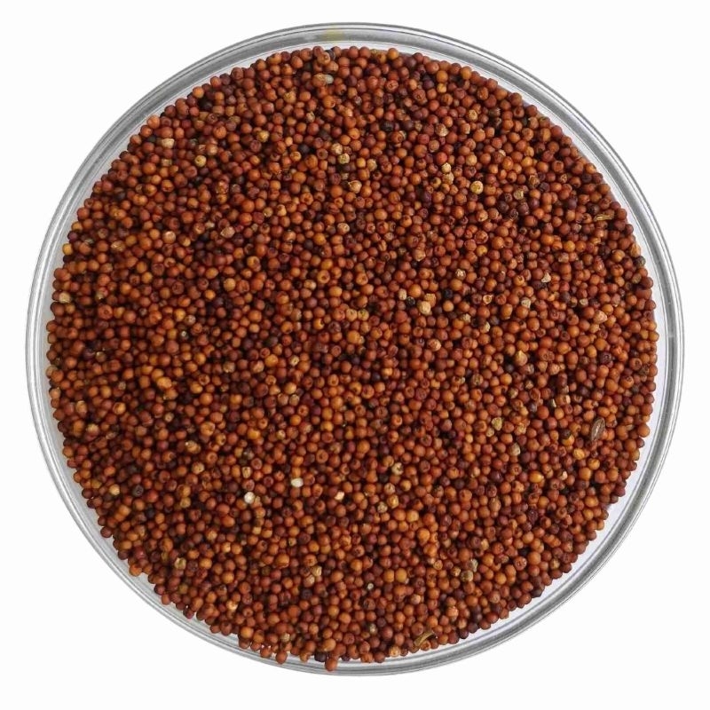 Ragi Whole / Finger Millet | Shopee Malaysia