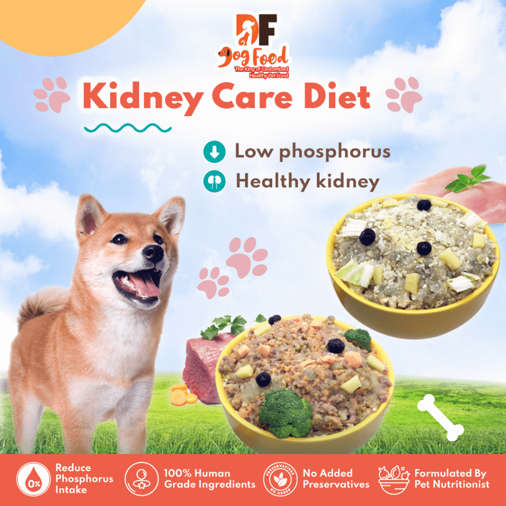 Fresh Look at Df Fresh Dog Food For Kidney Support Made In My