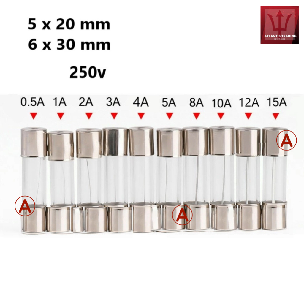 10x Glasrohr-Sicherung Flink Mit Stift – 3,6x10mm, 0,5A Bis 10A, 250V (hier: 2,5A Träge)