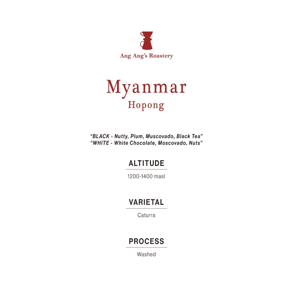 Ang Ang Roastery Limited Series - Myanmar Hopong – specialty coffee beans Malaysia