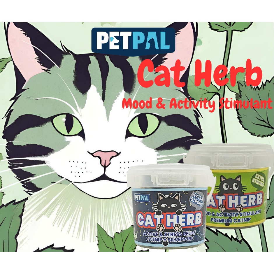 Petpal® Cat Herb | Calming & Relaxing Treat | Mood & Activity Stimulant ... - Cat Calming Herbs For Hyperactive Behavior