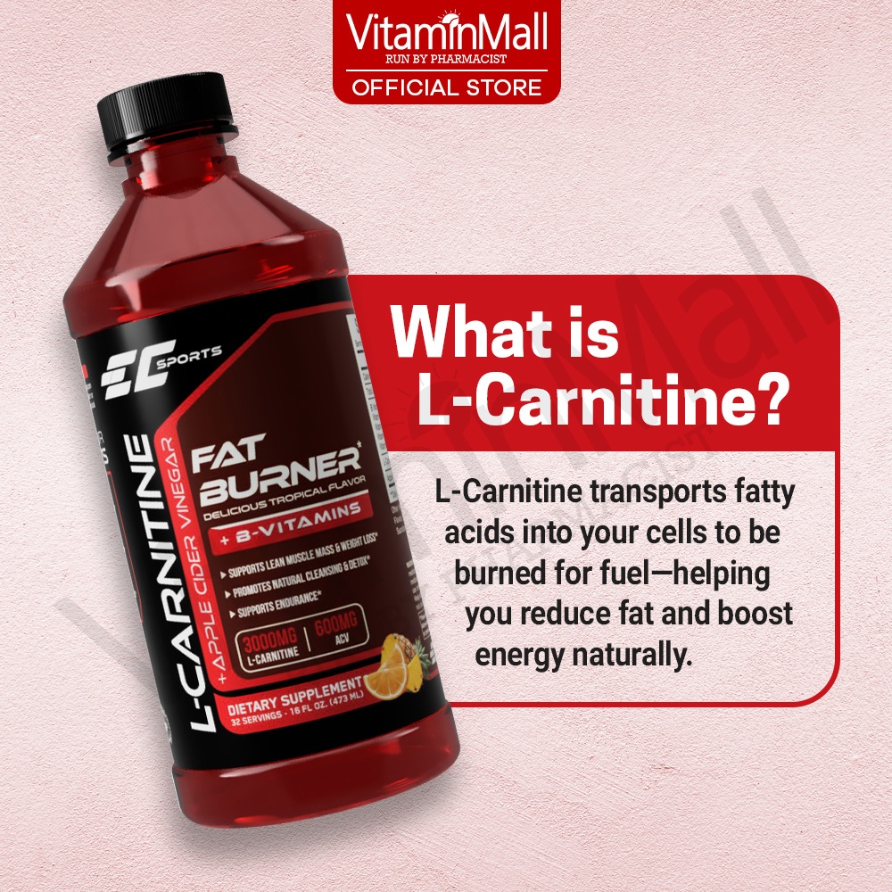 l carnitine ubiquinol L-Carnitine Apple Cider Tablet: Convert Fat to Energy