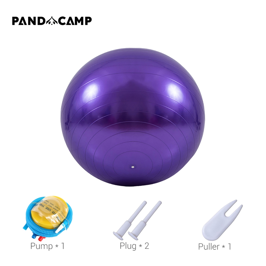 Yoga Ball Exercise Gym Ball Anti Burst Bola Yoga Fitness Pilates