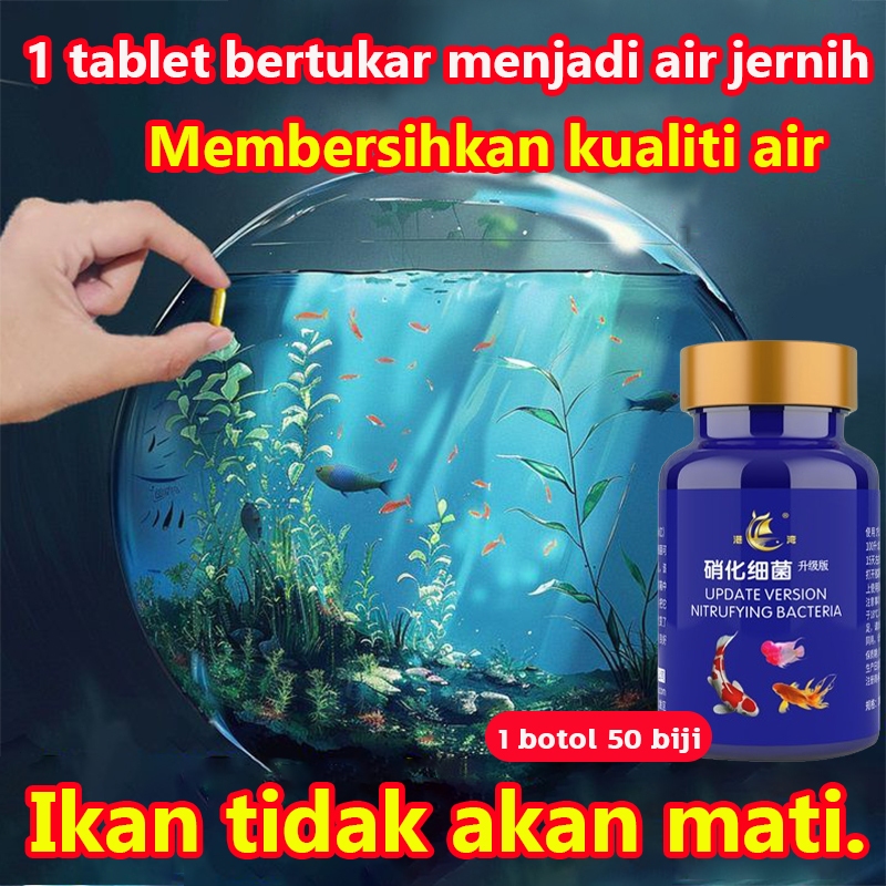 Nitrobacteria 1 tablet bertukar menjadi air jernih nitrifying bacteria ...