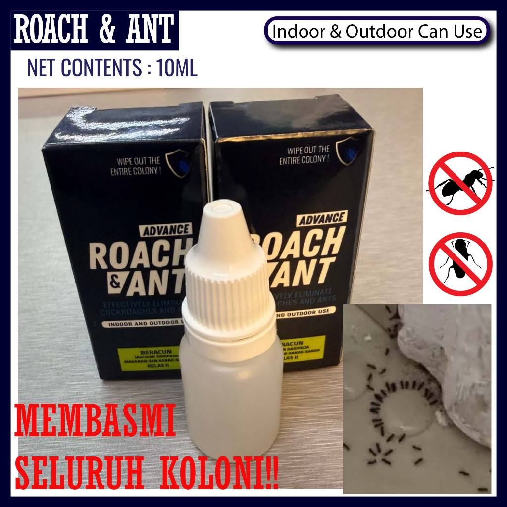 Mr Powerful Roach and Ant Bait / Racun Semut Cockroach 10ml Gel Kill ...