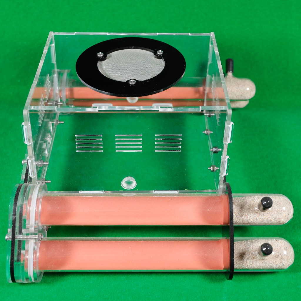 Four Tube Modern Formicarium - Ant Farm Ant Formicarium Ant Nest Ant ...