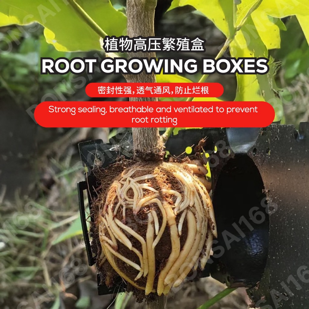 5pcs Rooting Box高压繁殖盒High Pressure Root Growing Device|Kotak Akar ...