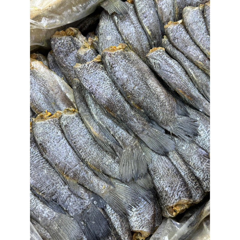 【Ocean Nenek】Ikan Masin Sepat Besar Gred 8A-250g/500g | Shopee Malaysia