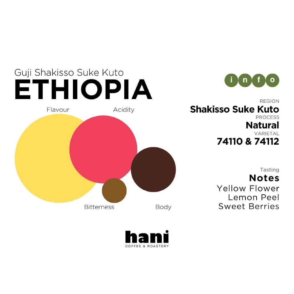 Hani Coffee Roastery Ethiopia Guji Shakisso – specialty coffee beans Malaysia