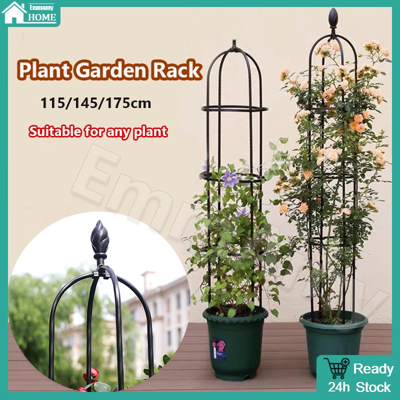 Emmamy--Plant Support Climbing Frame Plant Garden Rack Roses Climbing ...