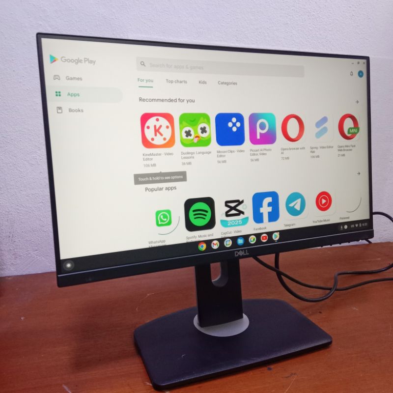 Dell P2219H professional p series 22