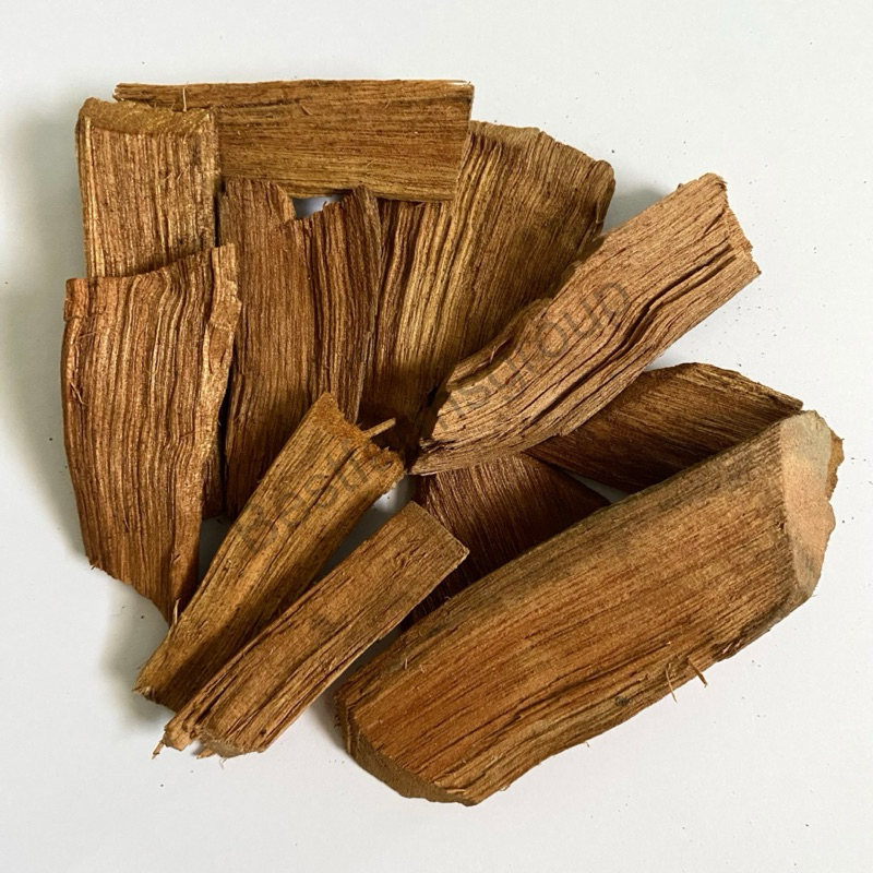 TERAS/AKAR KAYU SARSI ORIGINAL HUTAN | Shopee Malaysia