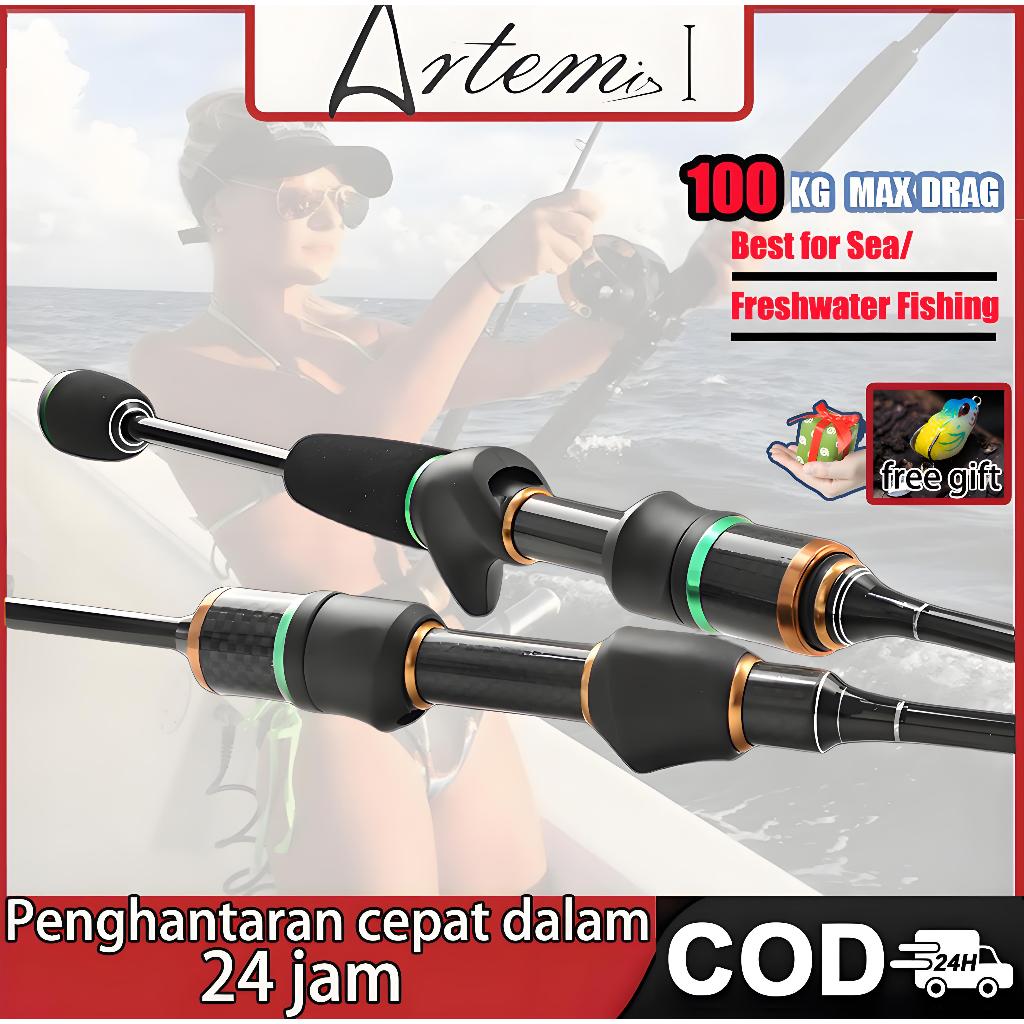 Artemis Rod Casting Fishing Rod Spinning Joran Pancing UL Power Solid ...