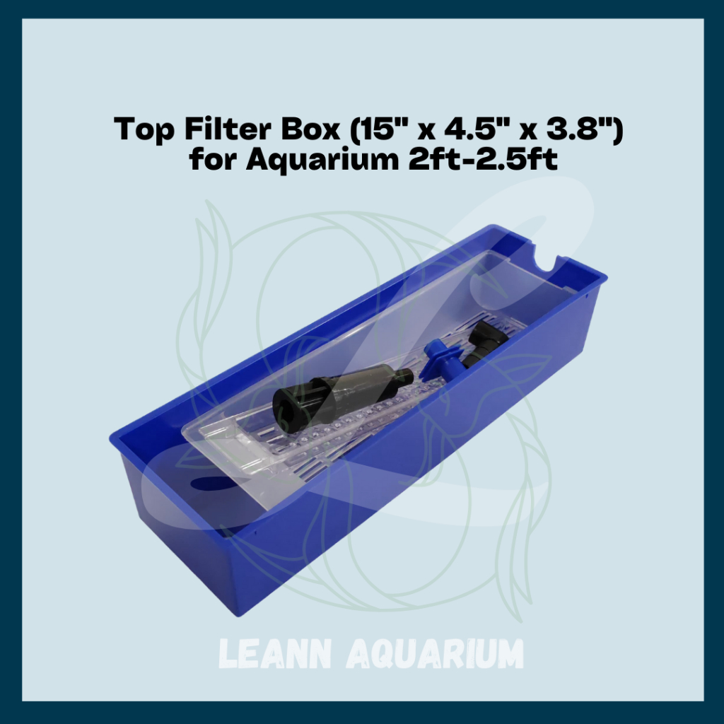 🔥NEW🔥 Blue Top Filter Box (15