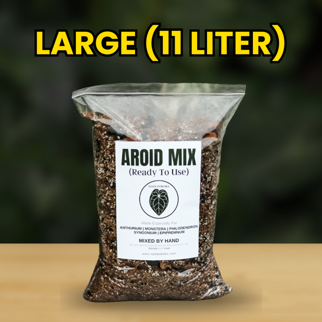AROID MIX Ready To Use Soil Mix by NADI POKOKS especially for Anthurium  Monstera Philodendron Syngo | Shopee Malaysia