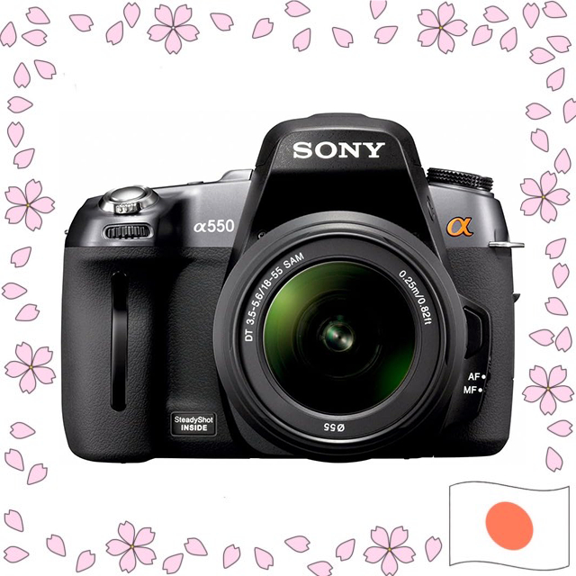 SONY Digital SLR α550 Zoom Lens Kit DT 18-55mm F3.5-5.6 SAM DSLRA550L ...