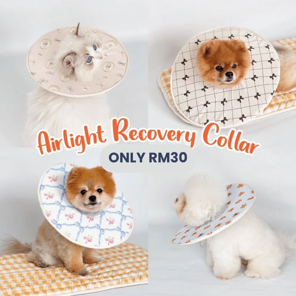 Ruff Pets Club x Pawlovin | Airlight Recovery Collar for Cats and Dogs ...