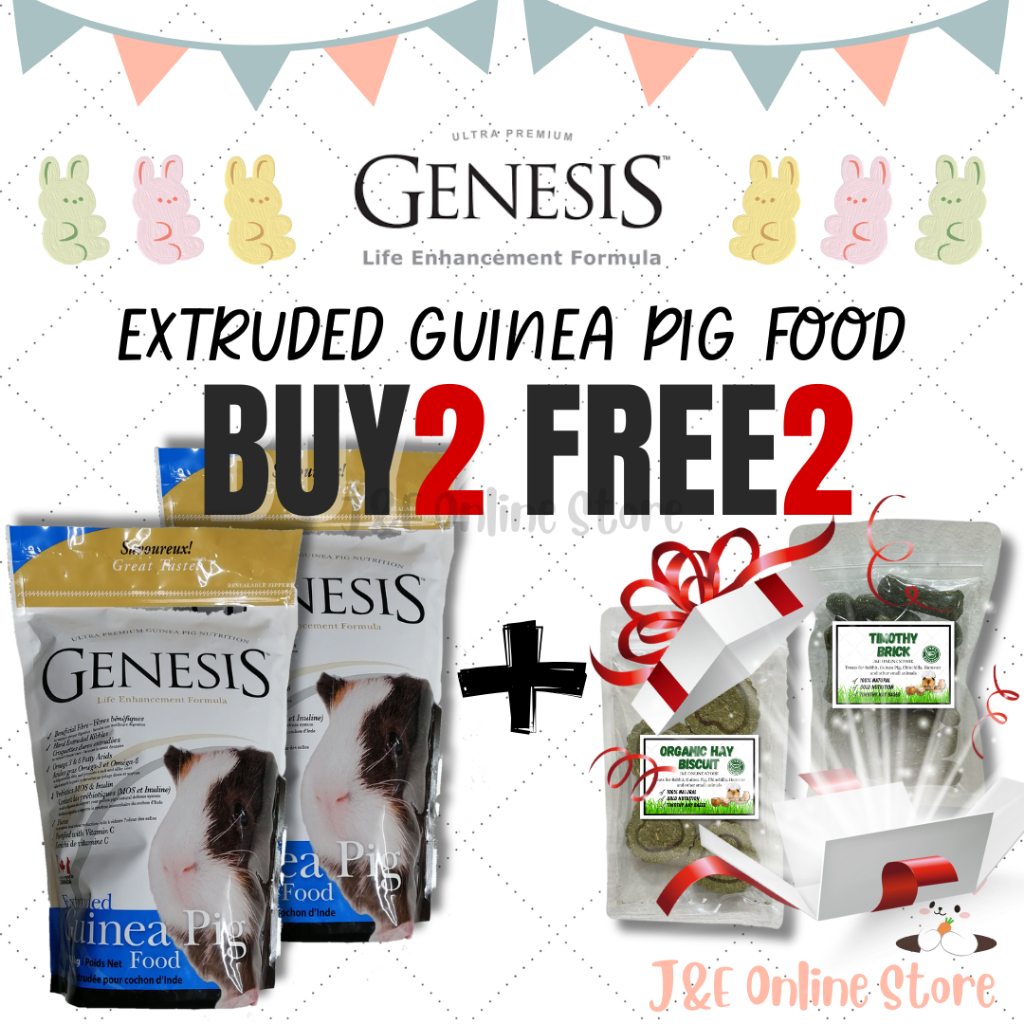 Picture of Buy 2 Genesis Guinea Pig & Free 5 pieces Organic Hay Biscuits & Timothy ...