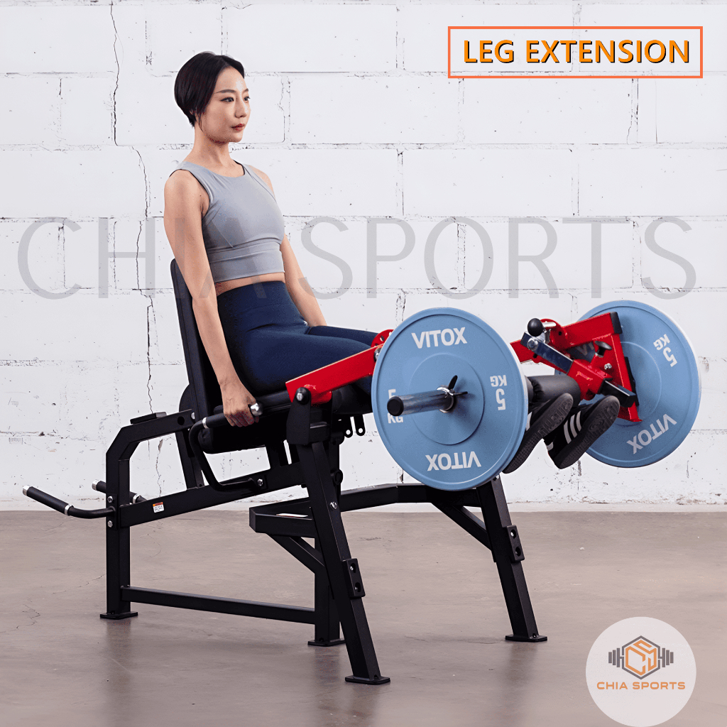 Commercial Leg Extension & Lying Curl Machine LE03 Hip Thrust Prone ...