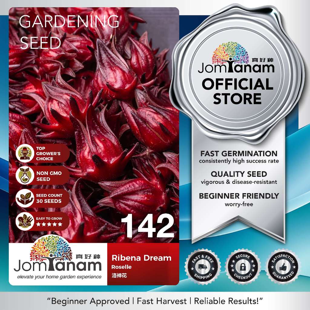 Biji Benih Bunga Roselle Ribena Dream 142 Roselle Seed JOM TANAM 洛神花种子 ...