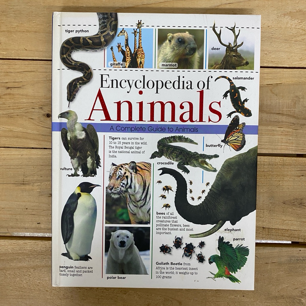 General Knowledge for Children - Encyclopedia Of Animals : A Complete ...