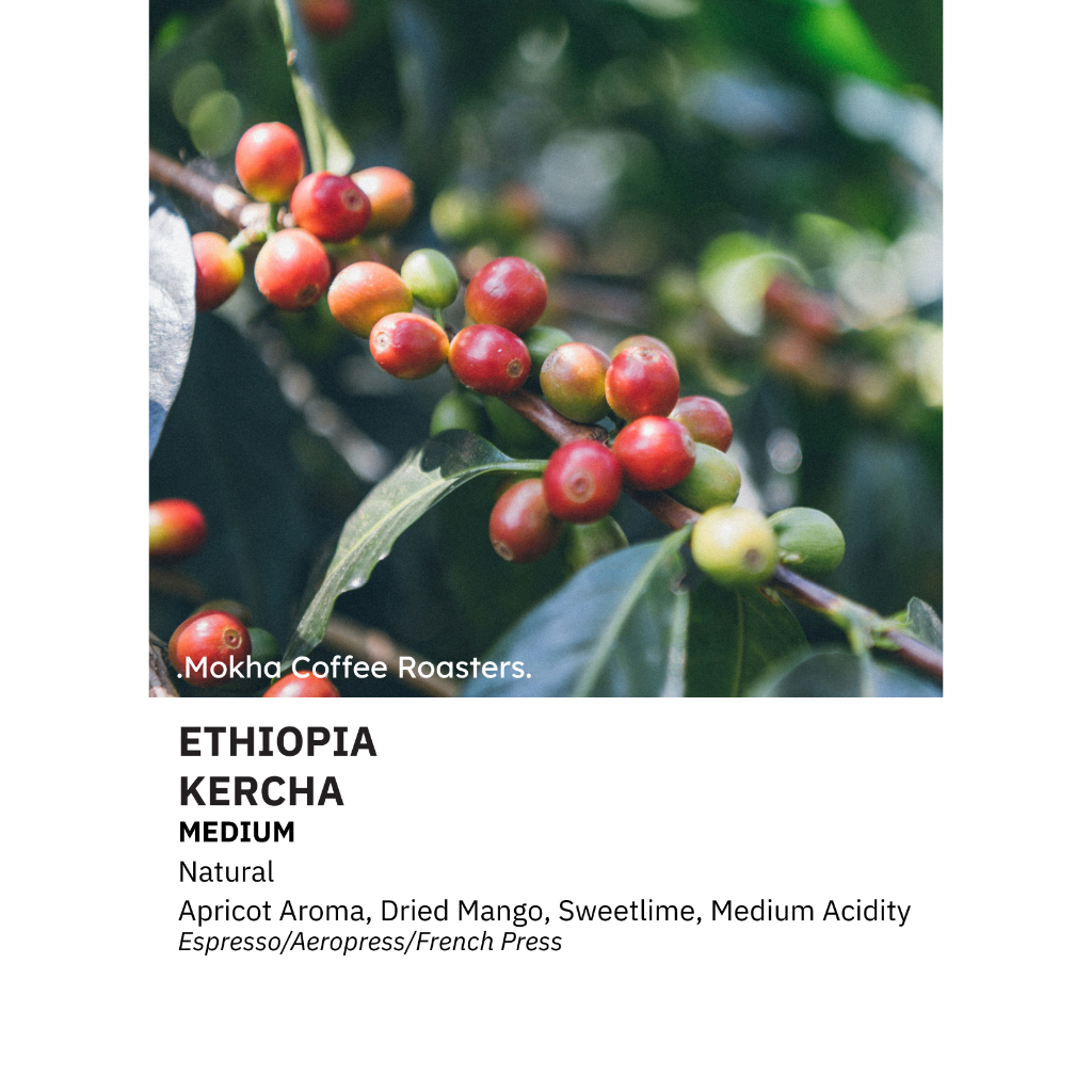 [MOKHACOFFEE] ETHIOPIA KERCHA | Shopee Malaysia