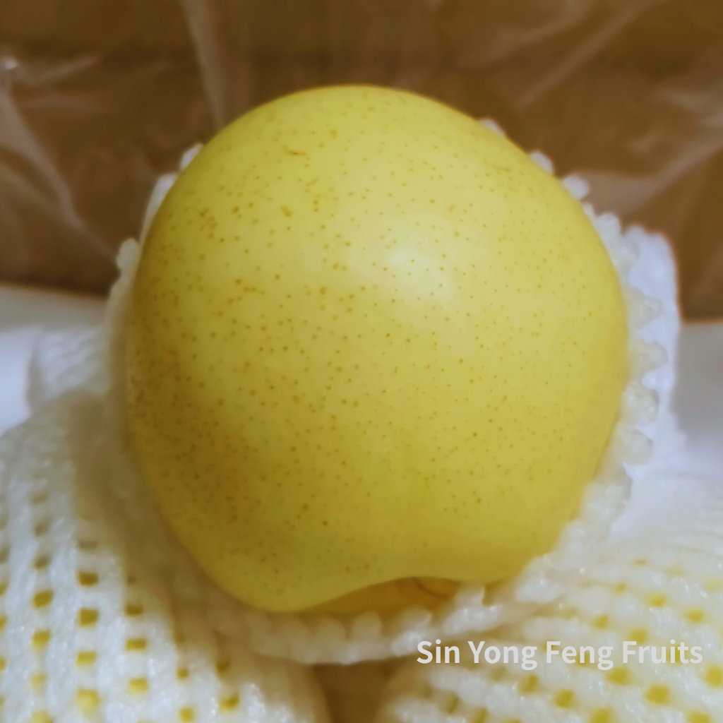 【Pir Century Manis & Segar | Fresh Century Pear 】 （5~10Pcs） | Shopee ...