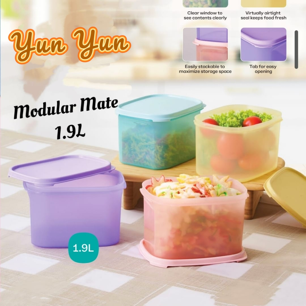 Tupperware MM Mini Rectangular 1.9L (2 PCS / 4 PCS) - Multi Color ...