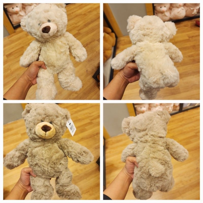 Kaison Softtoy Teddy Bear White n Brown Birthday Gift Shopee Malaysia