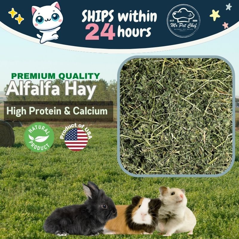 Alfafa Hay Makanan Arnab Rabbit Food Chinchilla Lucerne Alfalfa Guinea ...