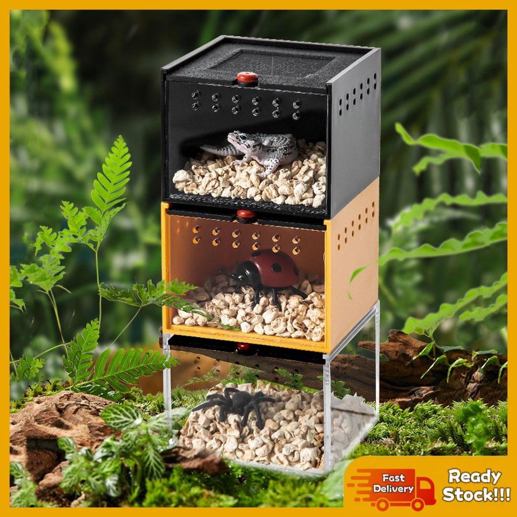 View of Portable Reptile Terrarium with Feeding Compartment Transparent Reptile ...