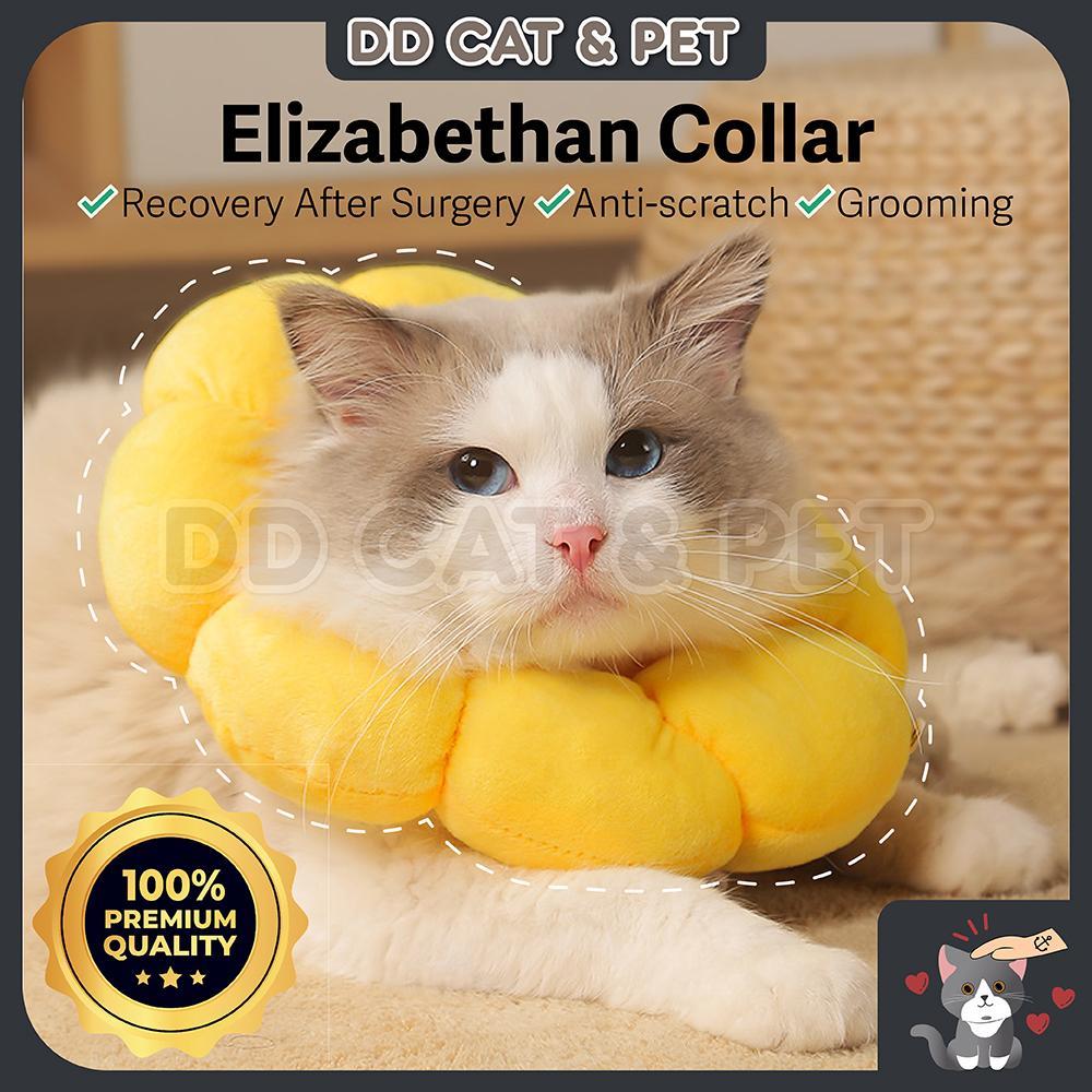 How to Groom Cat With Elizabethian Collar: Expert Tips & Tricks
