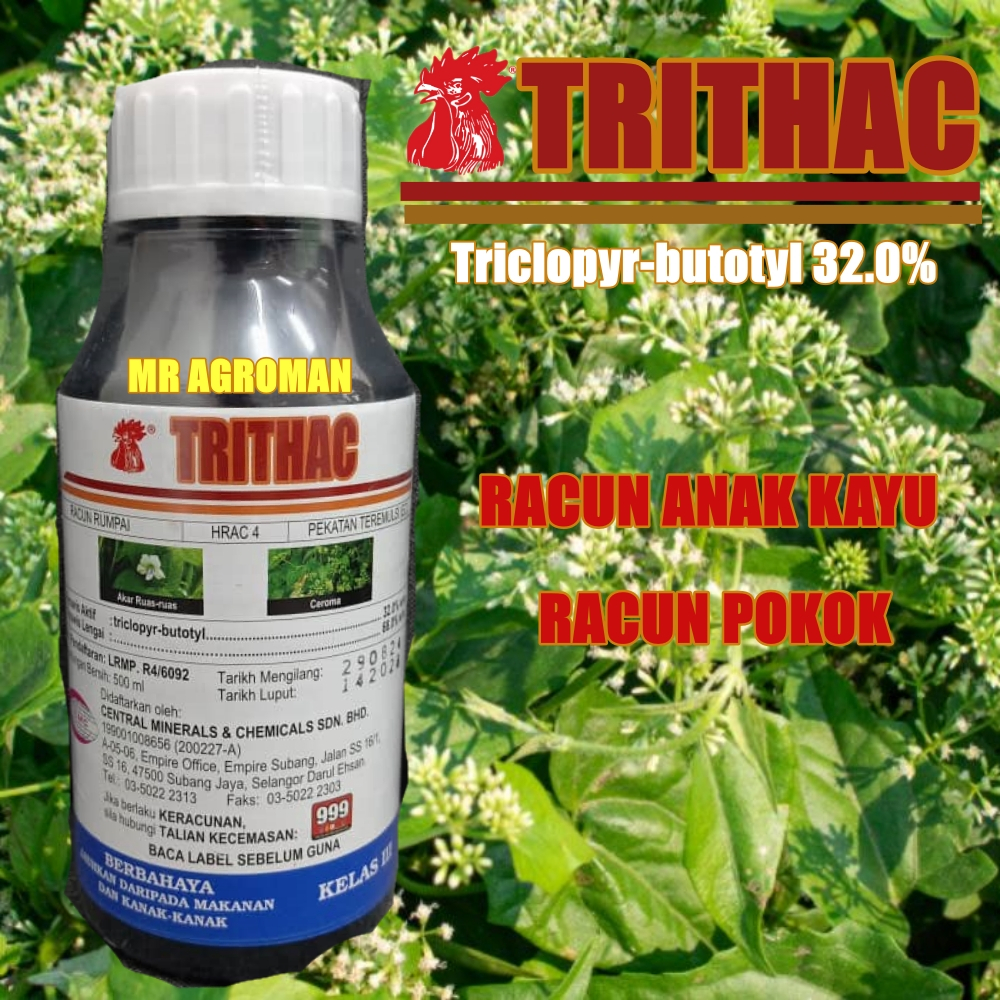 500ml TRITHAC Triclopyr Butotyl 32% Racun Pokok 杀树油/Racun serap/ Racun ...
