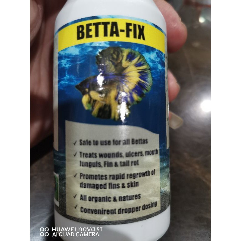 Betta Fix 100ml - Brand Aqua 23 Hours | Shopee Malaysia