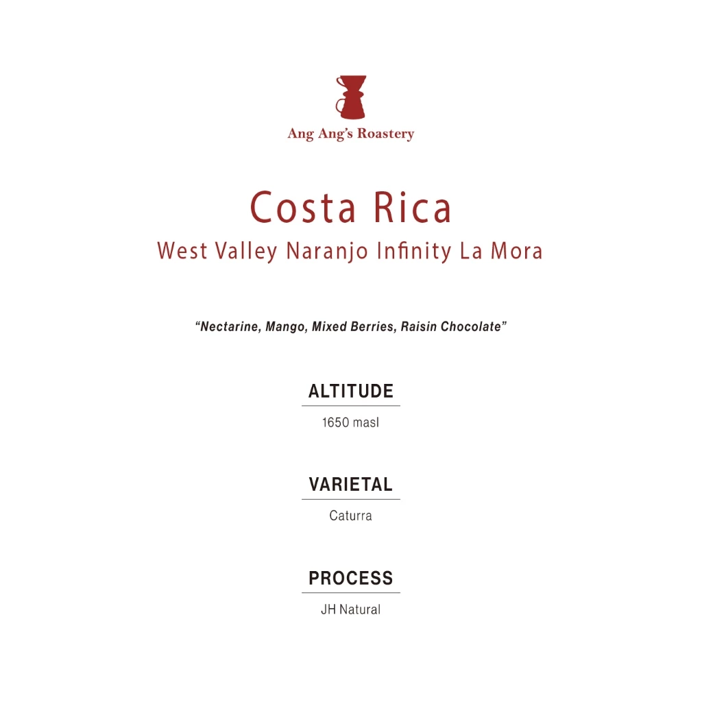 Ang Ang Roastery Limited Series - Costa Rica West Valley Naranjo Infinity La Mora (JH Natural) – specialty coffee beans Malaysia