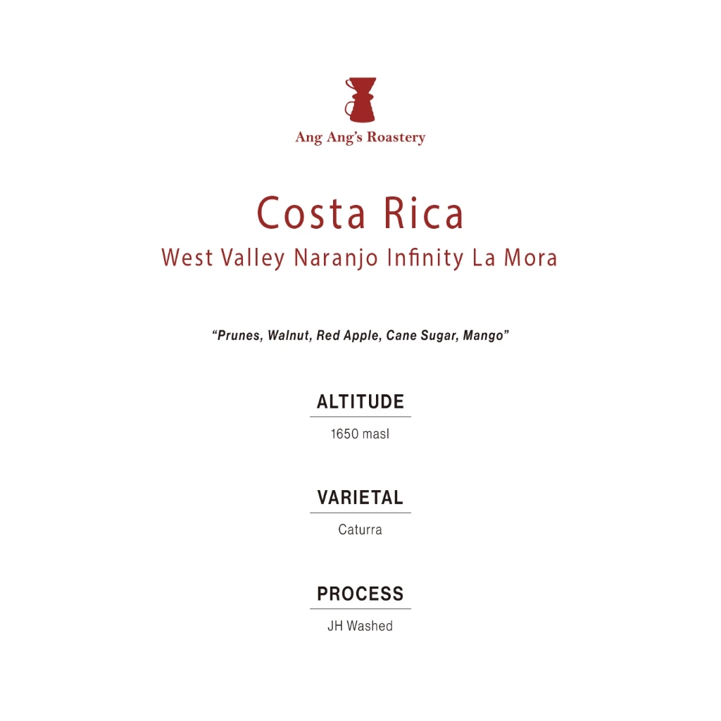 Ang Ang Roastery Limited Series - Costa Rica West Valley Naranjo V G San Juanillo (JH Washed) – specialty coffee beans Malaysia