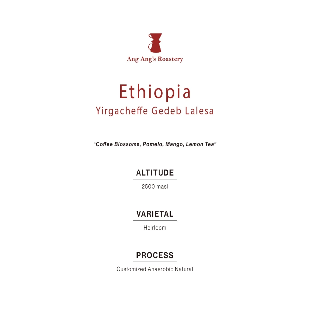 Ang Ang Roastery Limited Series - Ethiopia Yirgacheffe Gedeb Lalesa – specialty coffee beans Malaysia