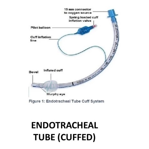 ENDOTRACHEAL TUBE CUFFED REGULAR HVLP FOR INTUBATION | Shopee Malaysia