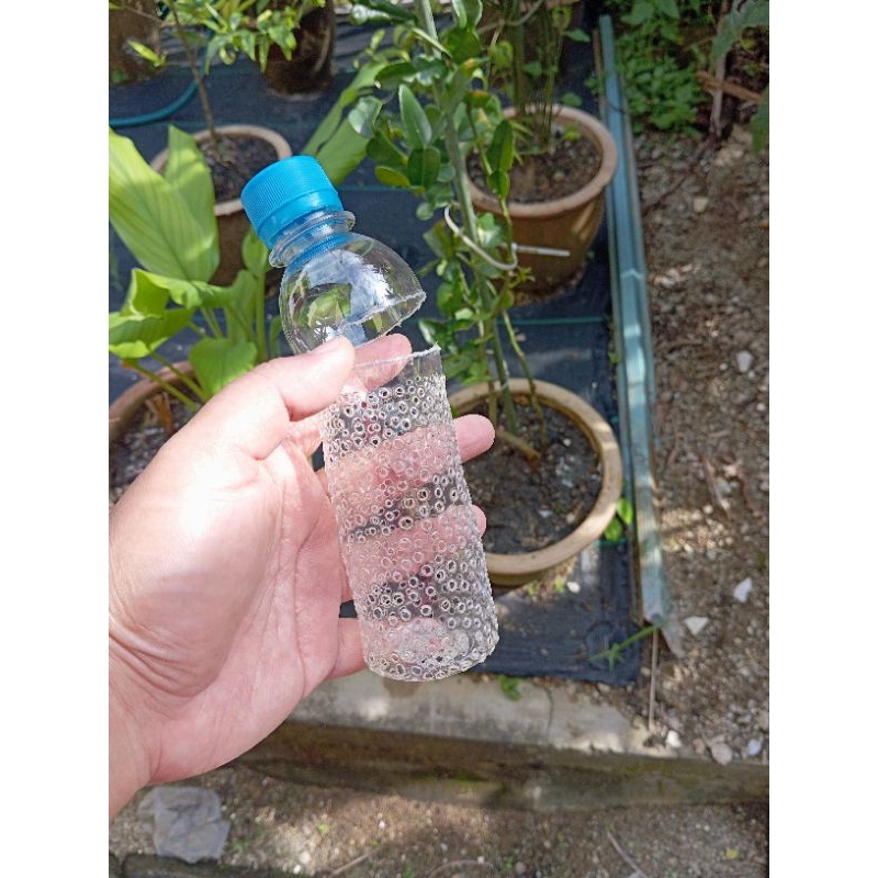 Botol Sisa Dapur 250ml (tanam dalam pasu) | Shopee Malaysia