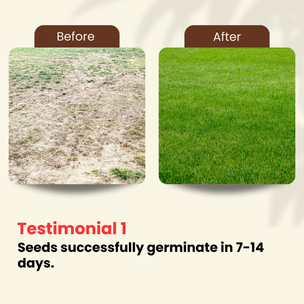 Agro Farm Biji Benih Rumput Kubur - Khas Untuk Kawasan Kubur / Grass ...