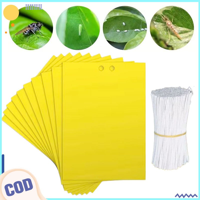 100pcs Fruit Fly Double Sided Sticky Board/Flie Fruit Fly Sticker ...