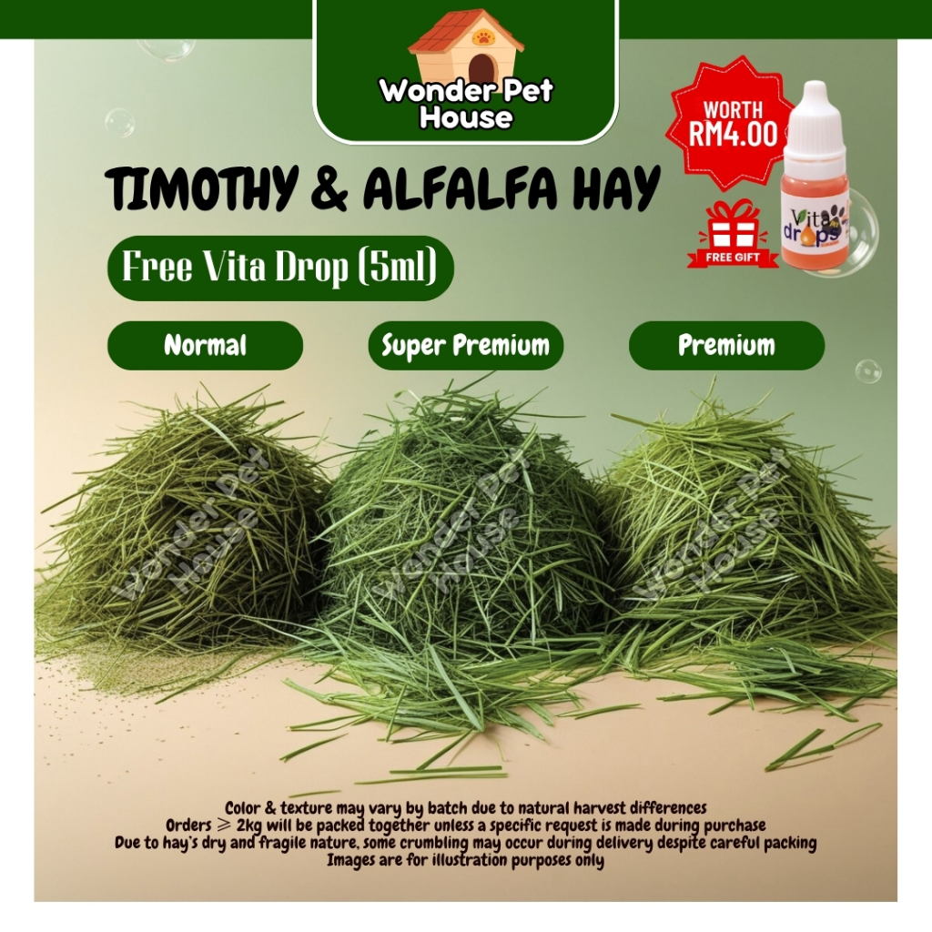Curated visual reference: Gallery Detail: Premium Timothy Hay Alfalfa Hay For Rabbits Guinea Pigs Chinchillas