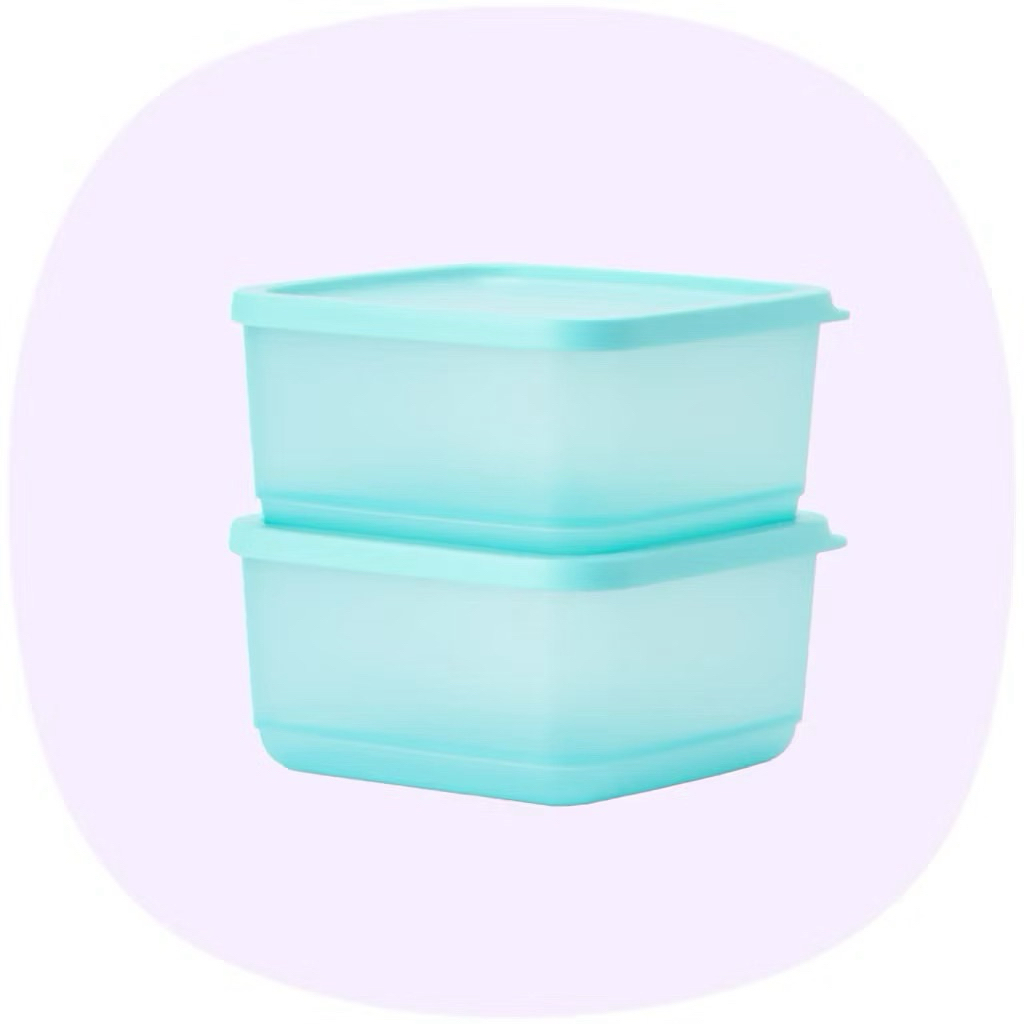 Tupperware Square 650ml | Shopee Malaysia