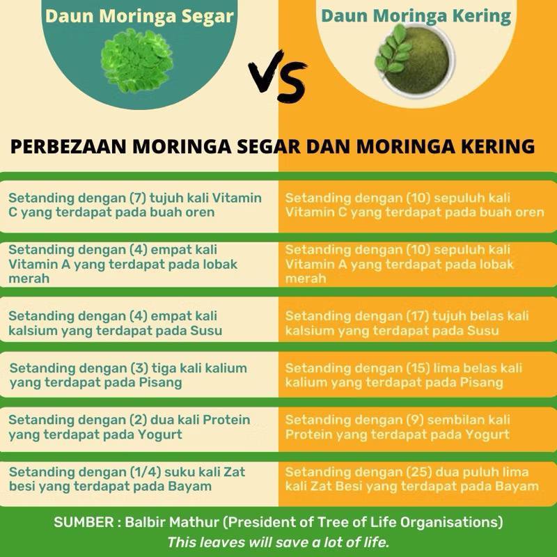 BUY 3 FREE 1 [READY STOCK] Bioleaf MORINGA Oleifera kini dalam bentuk ...