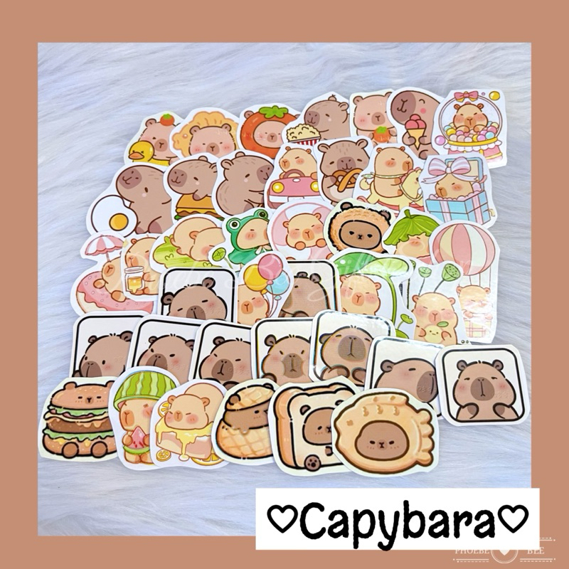 Capybara waterproof stickers (40pcs/pkt) for kids Journal stickers ...