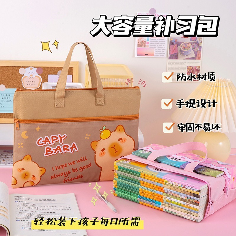 Cartoon Zipper Large Capacity School Students Double Layer Tuition Bag ...