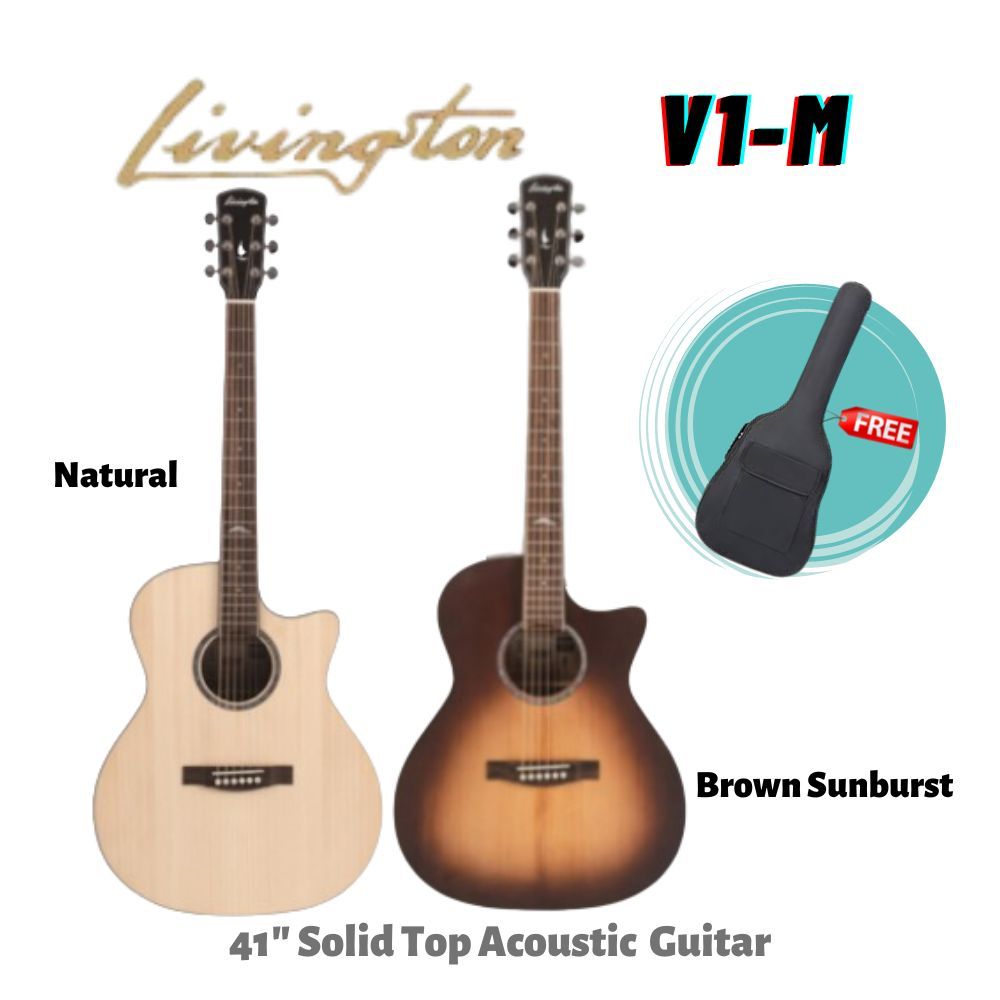Livingston V1MNT GA Body 41" Solid Top AcousticElectric Guitar