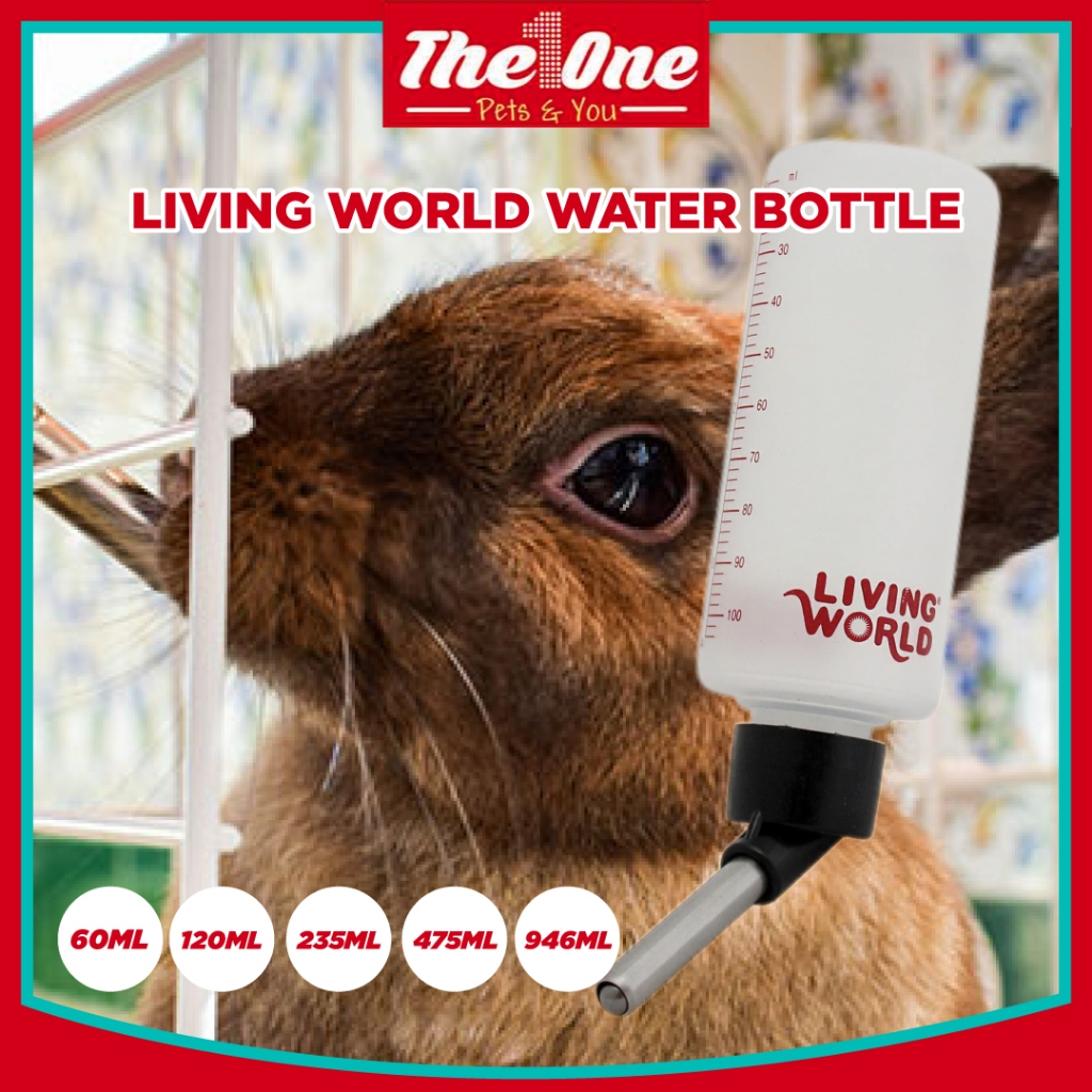 Living world hamster water bottle best sale