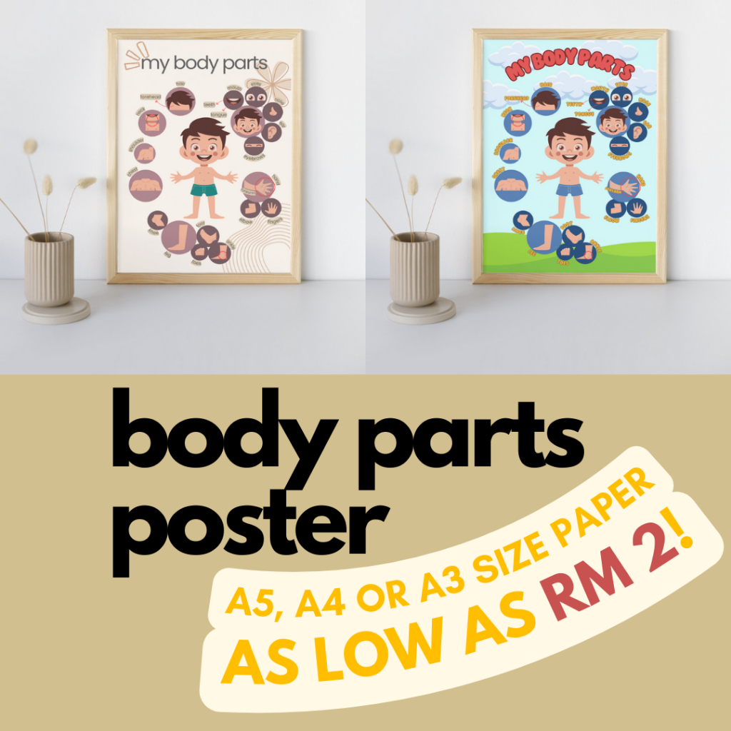 COLOURFUL/AESTHETIC My Body Parts Poster | Educational Poster for Kids ...
