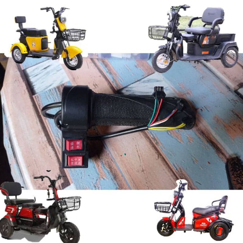 Basikal Elektrik tricycle-Throttle 3 speed/Basikal Elektrik Roda 3 ...